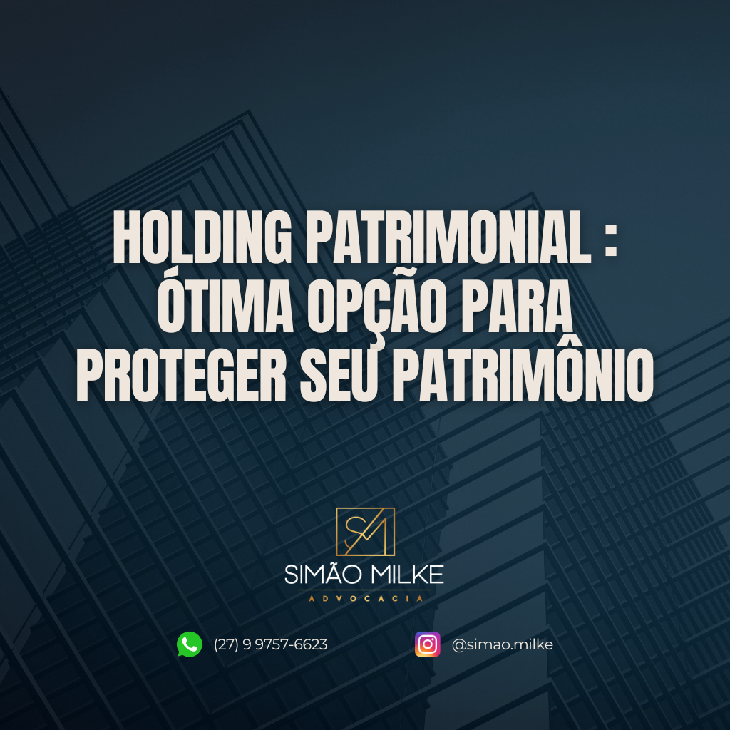 Holding Patrimonial: Ótima opção para proteger seu patrimônio